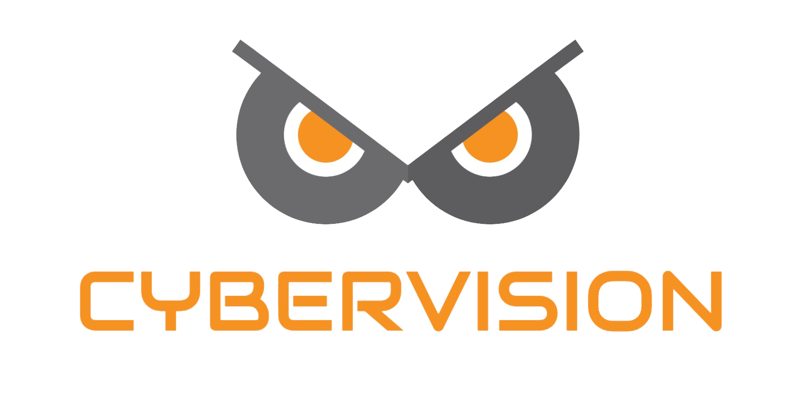 Cyber Vision Logo
